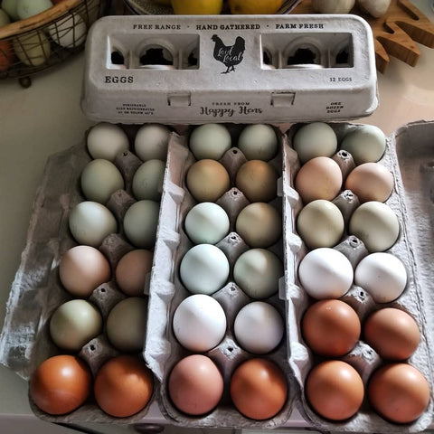 Henlay eco friendly egg storage solution keeps eggs organized and protected