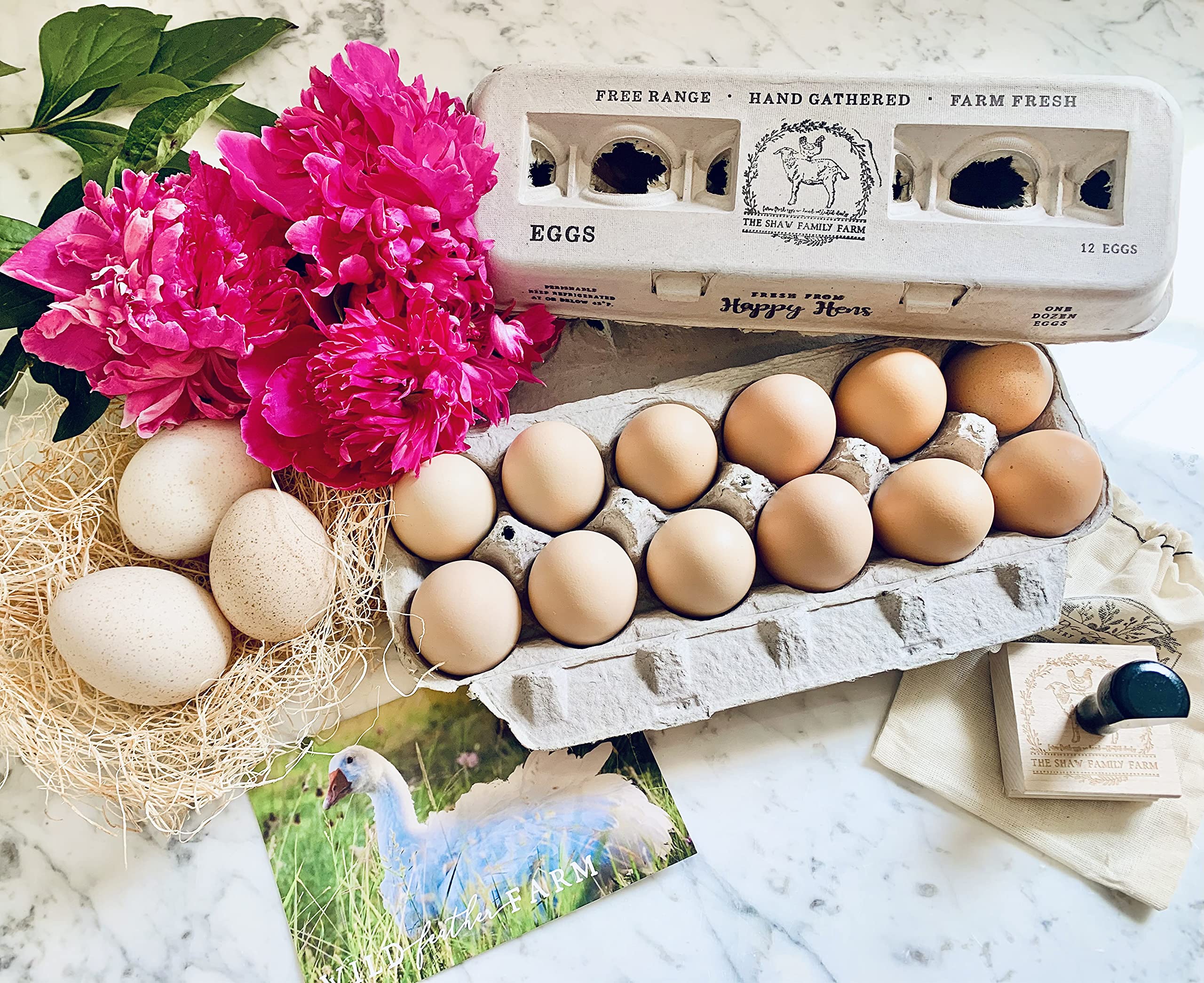 Carton demonstrates XL egg capacity with secure containment.