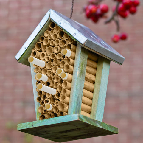 Henoyso easy to replace nest tubes for tidy habitats