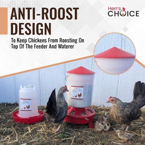 Hen's Choice adjustable-legs keep feeding height suitable for chicks of all ages.