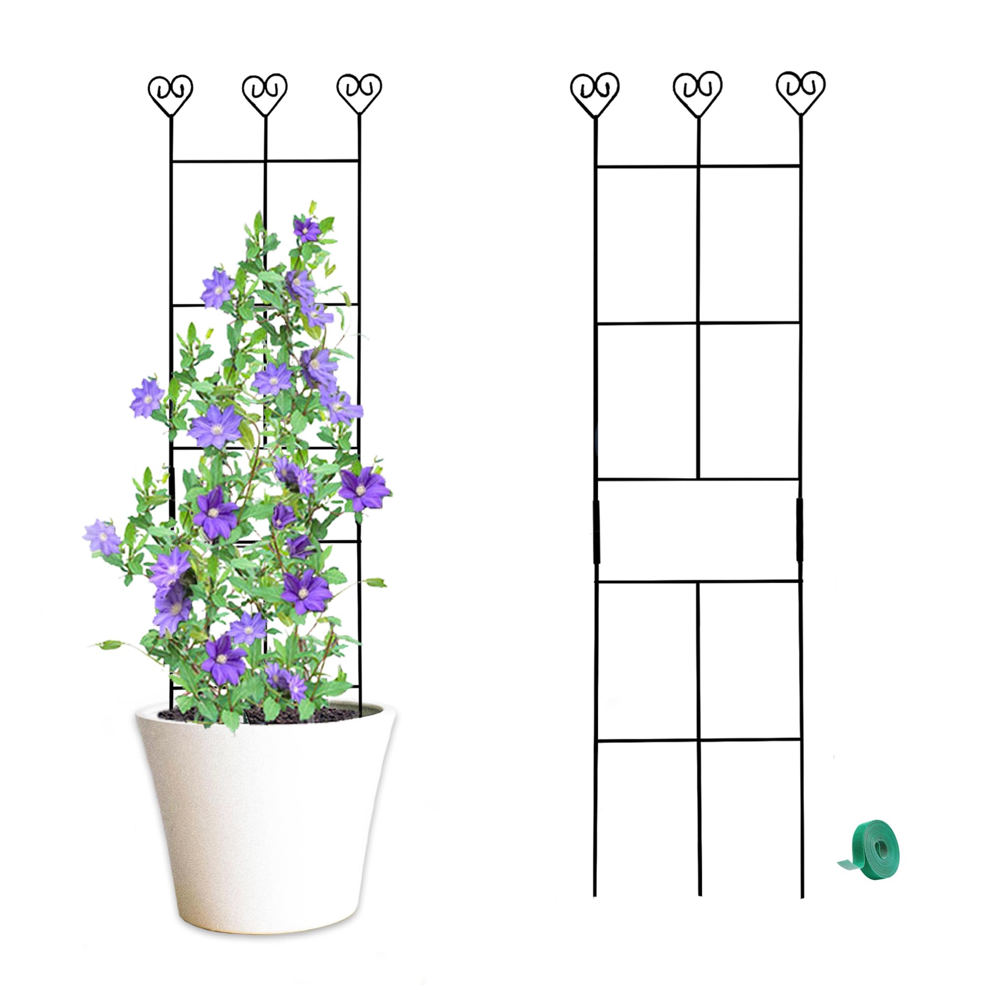 Hensal 2 Pack 30'' Plant Trellis enables quick setup and sturdy support.