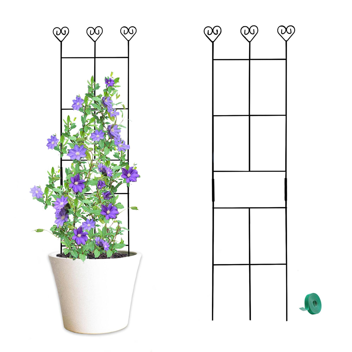 Hensal 2 Pack 30'' Plant Trellis enables quick setup and sturdy support.