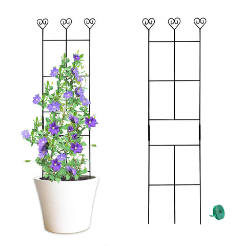 Hensal 2 Pack 30'' Plant Trellis enables quick setup and sturdy support.