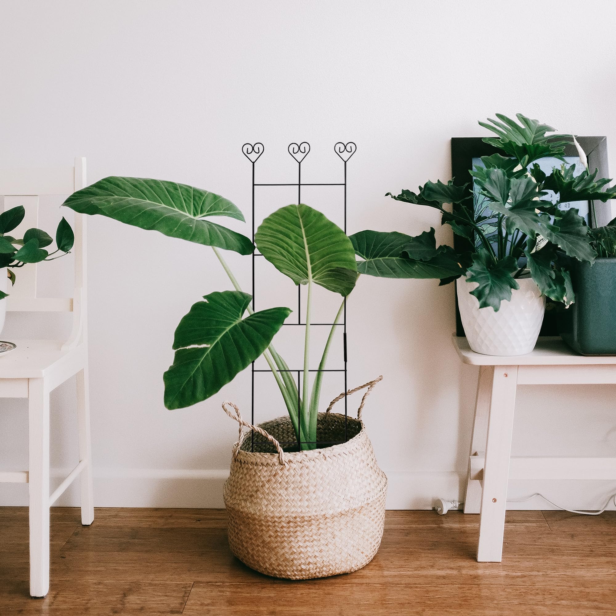 Hensal balcony garden trellis for tidy vertical growth.