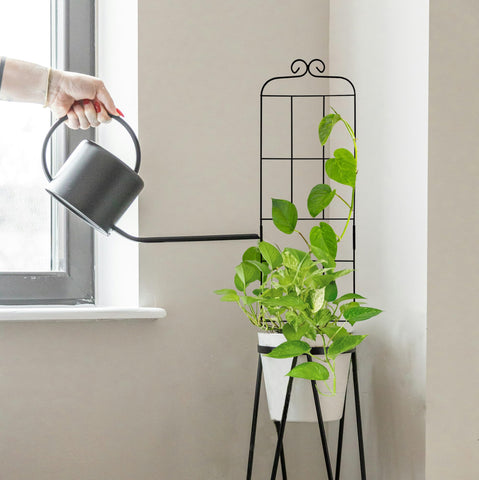 Hensal indoor-outdoor plant trellis improves airflow and growth around climbing plants.