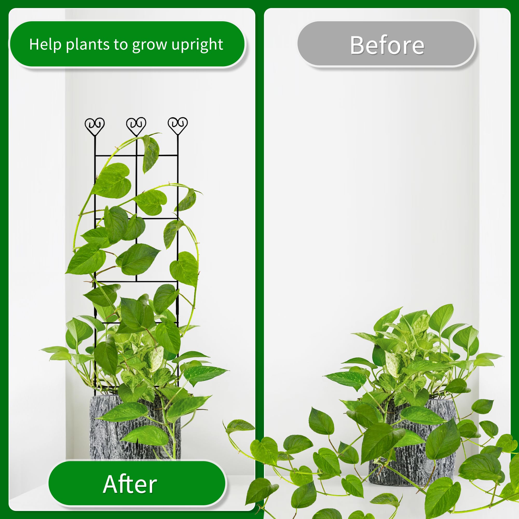 Indoor and outdoor use demonstrates Hensal trellis supporting climbing vines.