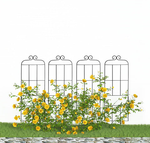 Hensal ideal for potted roses, ivy, and other flowering climbers.