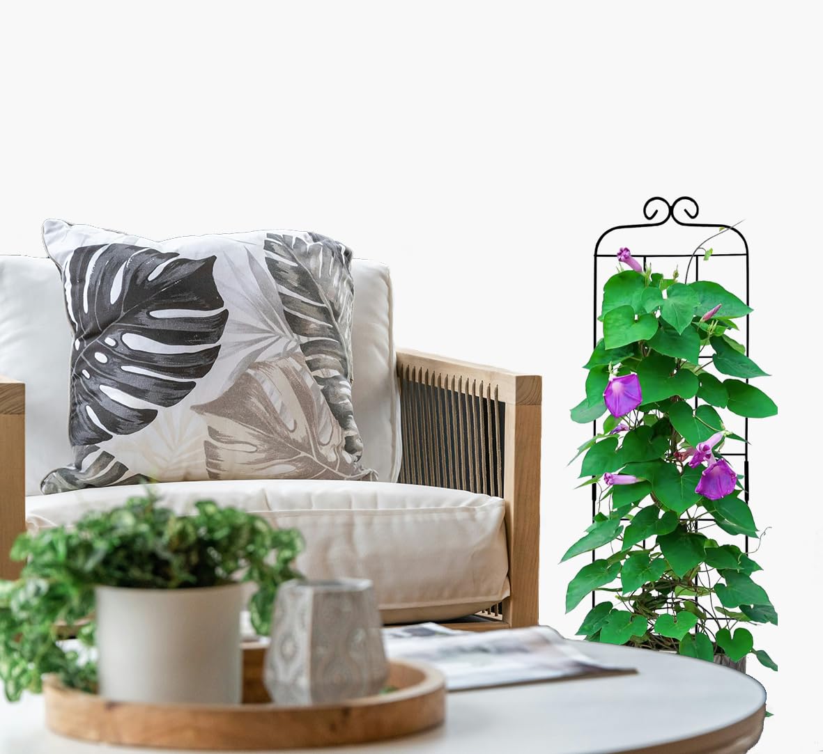 Hensal sturdy black trellis guides vines without crowding pots or beds.