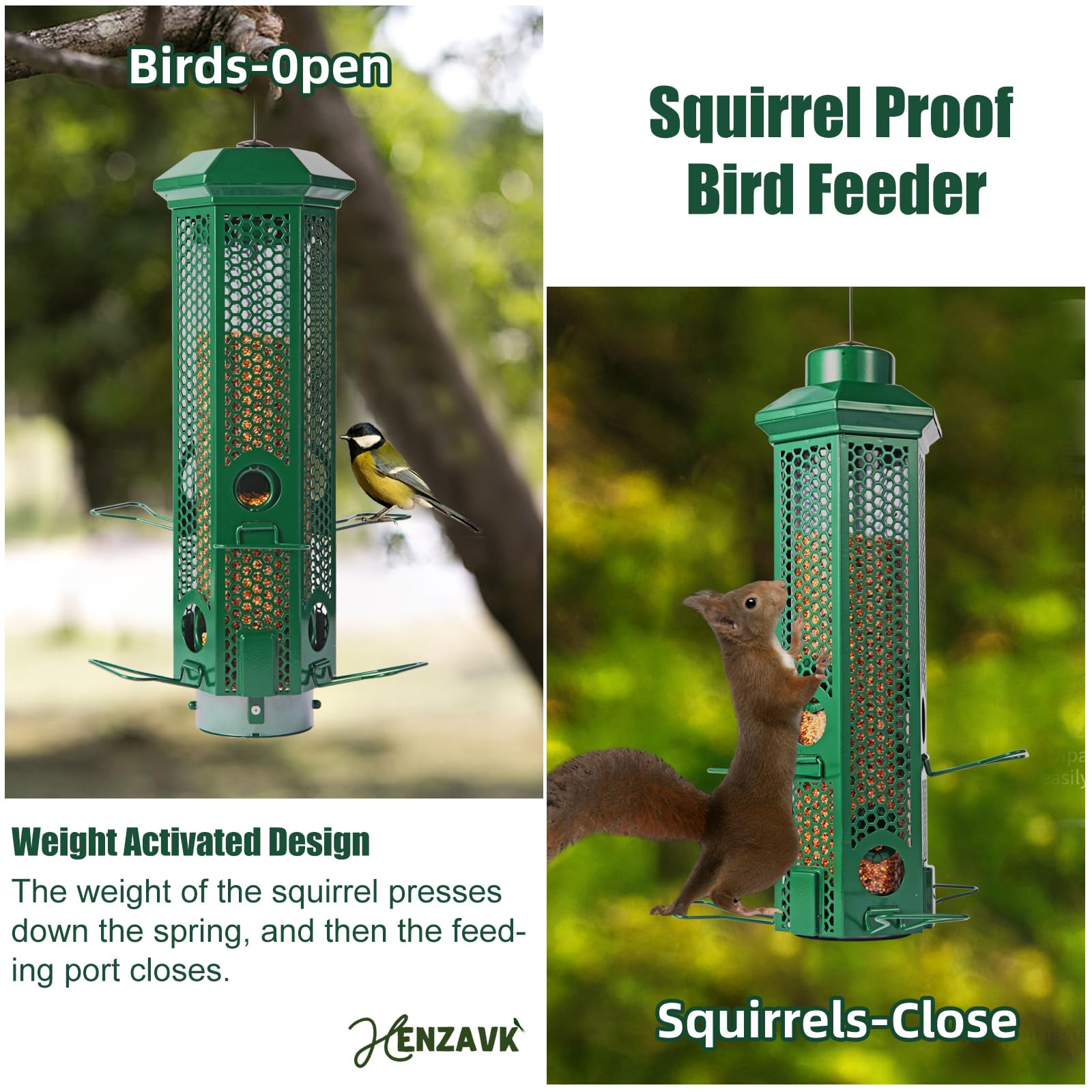 Detachable base shown for quick, thorough cleaning of seed debris