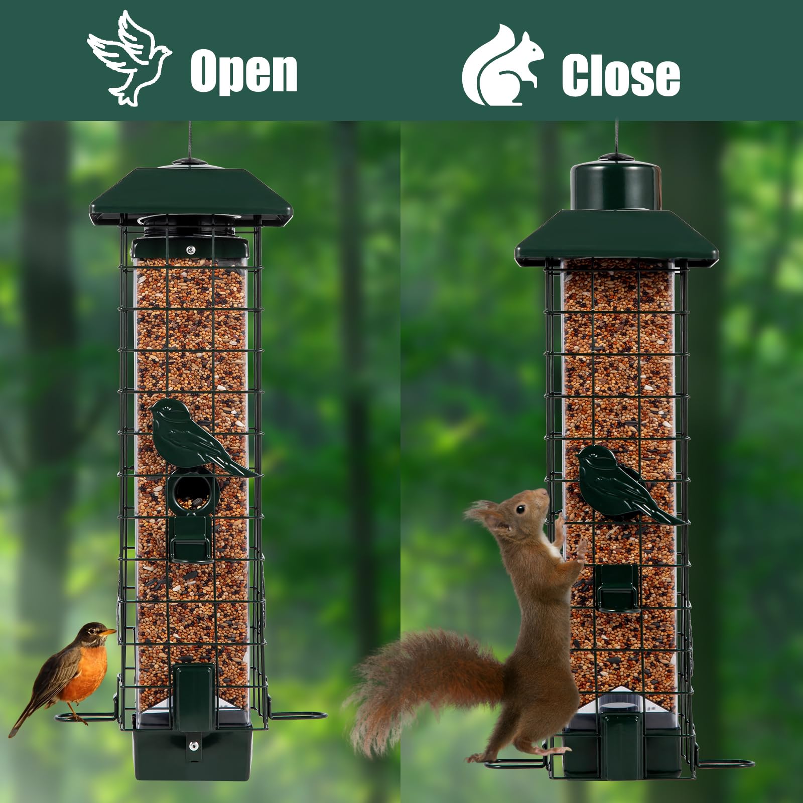 Henzavk four-port perches design enabling multiple birds to feed.