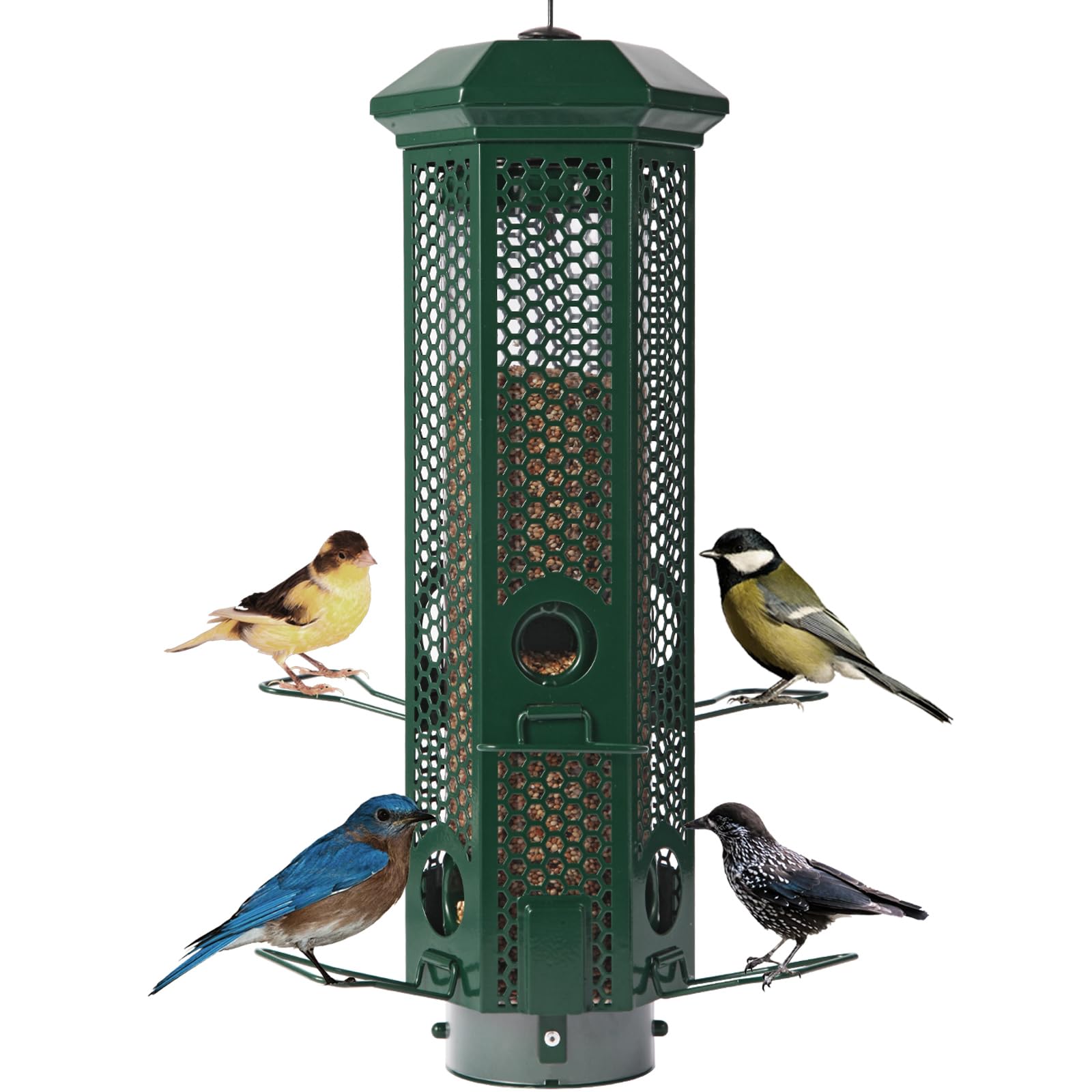 Henzavk squirrel-proof bird feeder in green, ideal for backyard bird watching