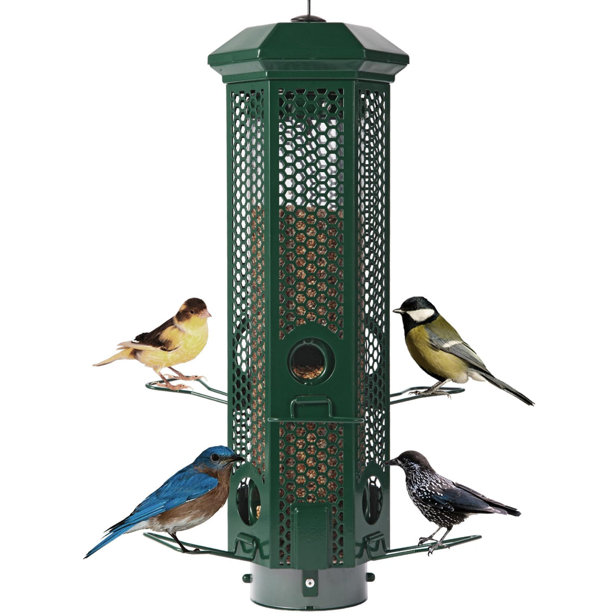 Henzavk squirrel-proof bird feeder in green, ideal for backyard bird watching