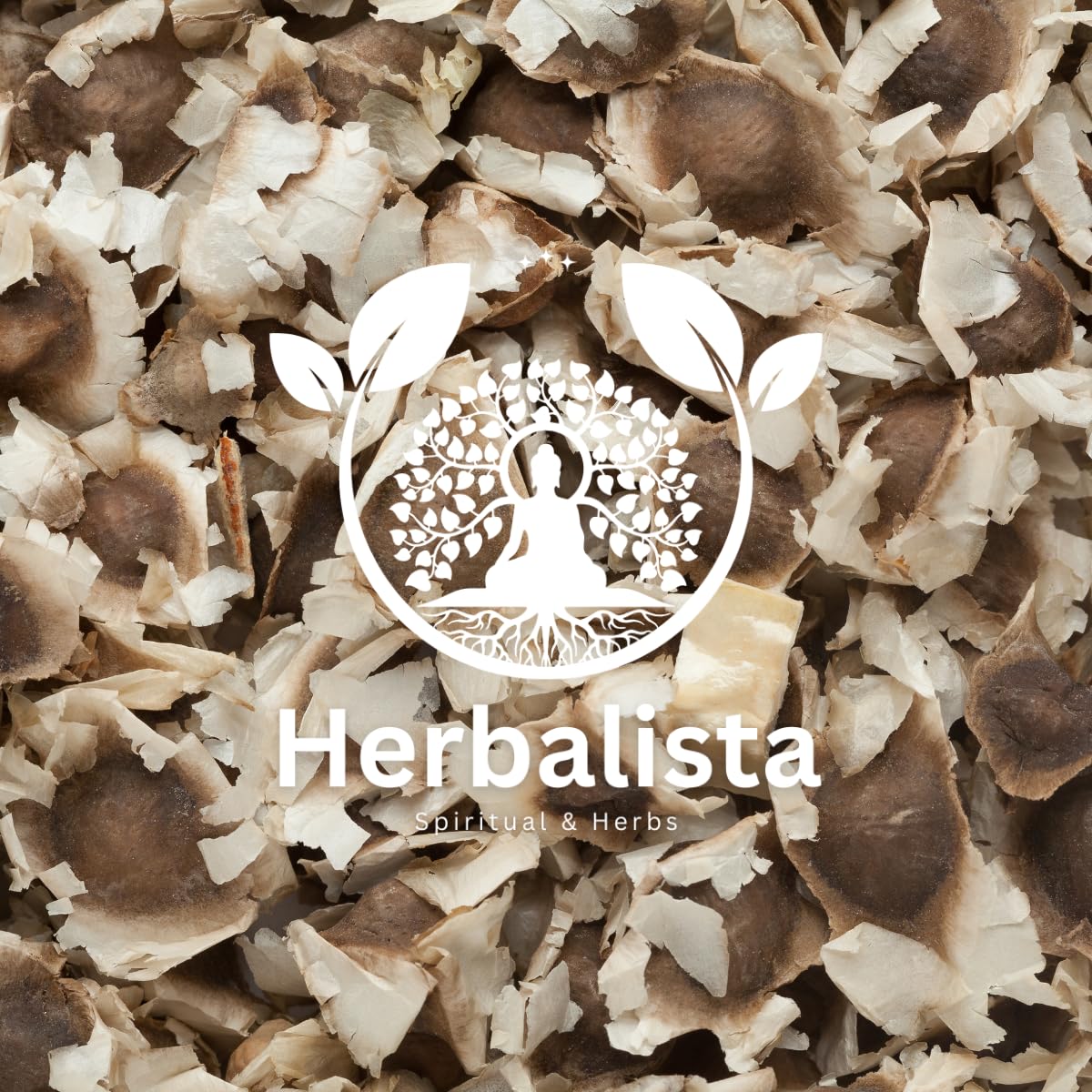 1 oz Herbalista moringa seeds pack, ideal for gardening and daily use.