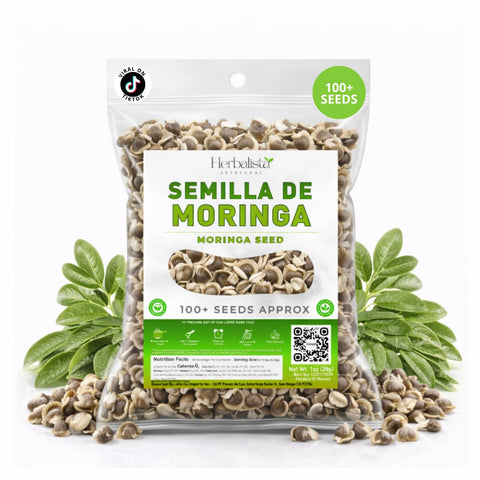 Herbalista Moringa seeds PKM1 pack for snacking or planting.
