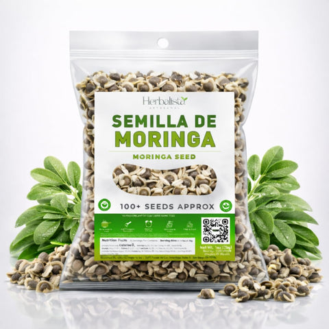 Seeds prepared for planting with wildcrafted Drumstick Tree quality.