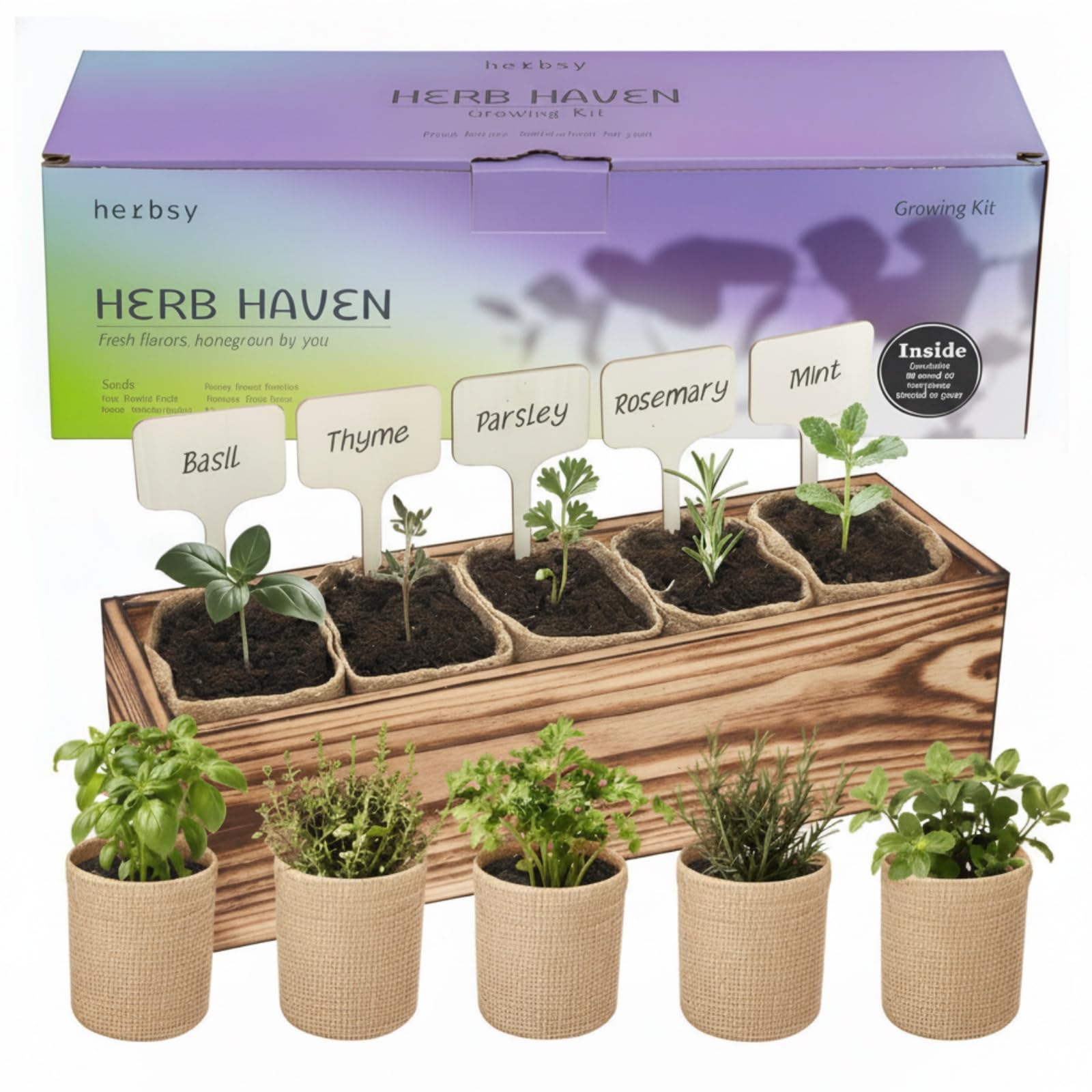 Herbsy 5 herb garden kit in a wooden box for easy windowsill growing.