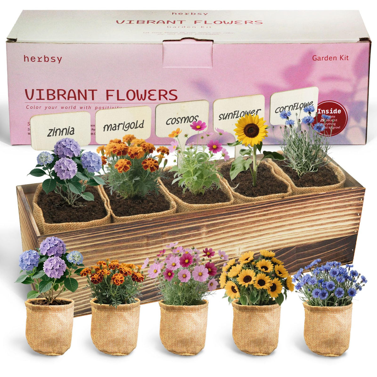 Herbsy 5 Indoor Flower Kit packaging, ideal gift presentation.