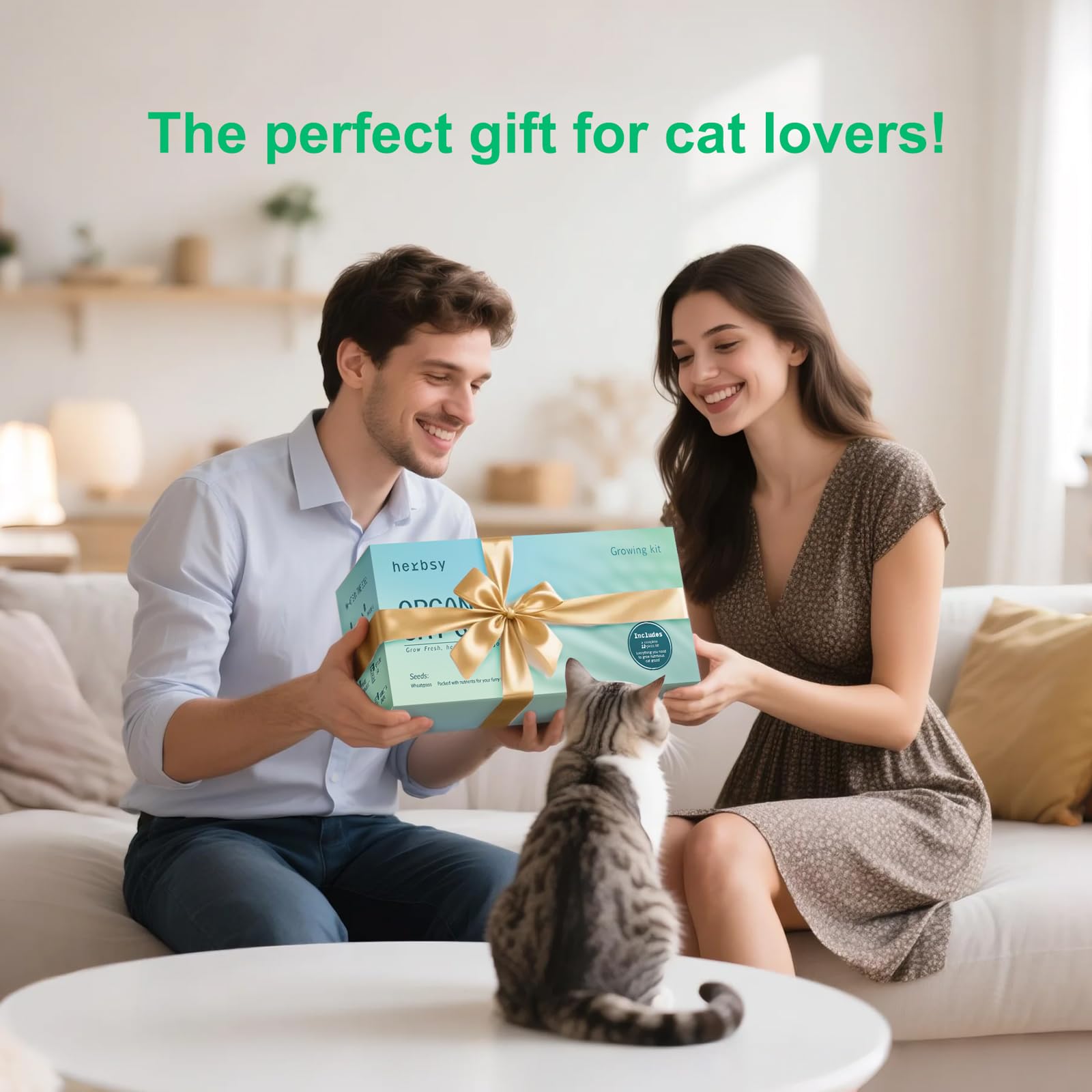 Herbsy cat grass kit fertilizer packets boost healthy growth with minimal effort.