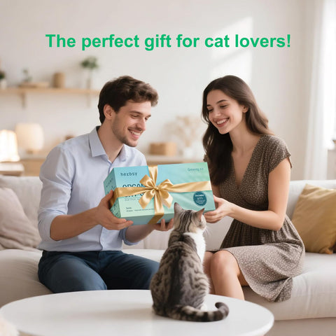 Herbsy cat grass kit fertilizer packets boost healthy growth with minimal effort.