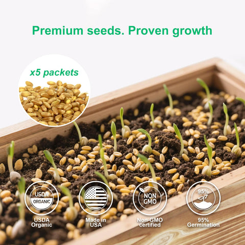 Herbsy cat grass kit hand tools for easy seed handling and care.