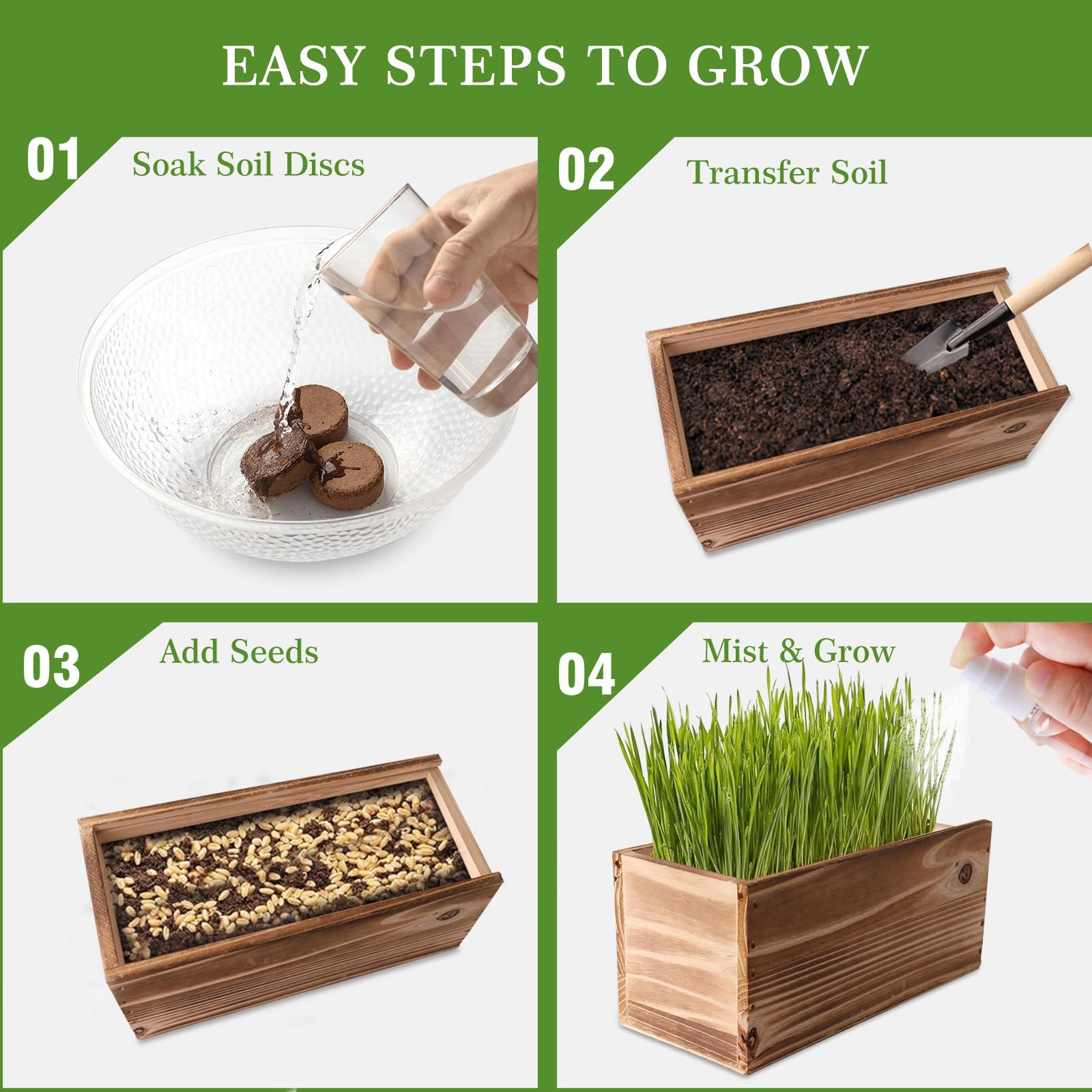 Herbsy cat grass kit soil discs enabling quick setup for thriving sprouts.