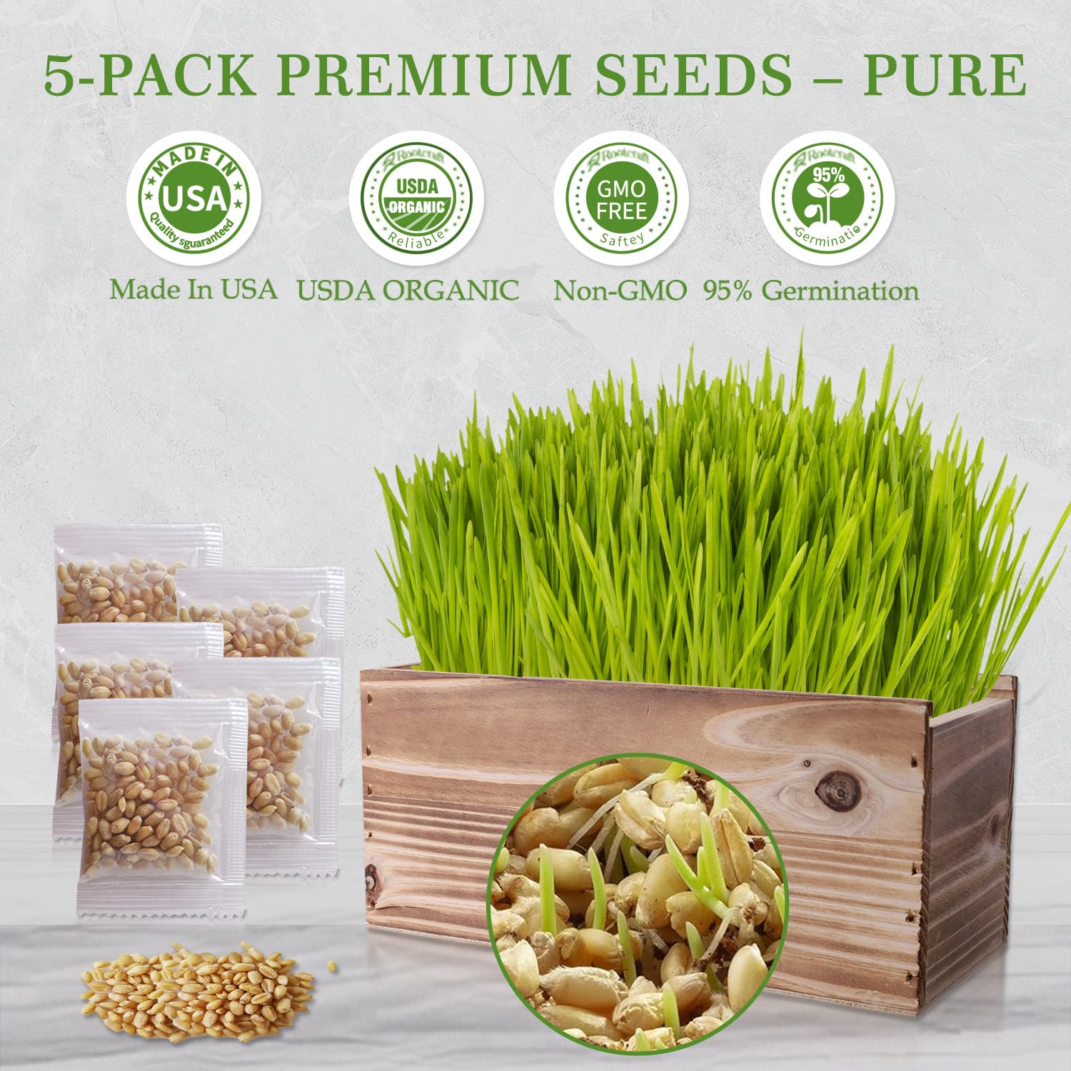 Herbsy cat grass kit watering bottle simplifying plant care and hydration.