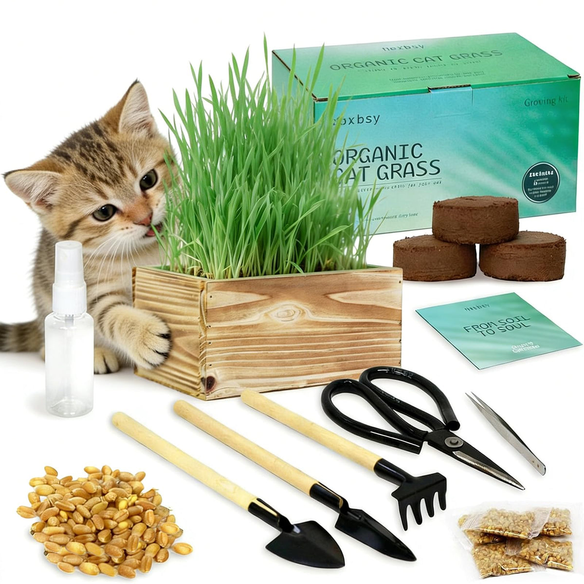 Herbsy cat grass kit wooden planter displaying natural wood finish for indoor decor and pet greens.