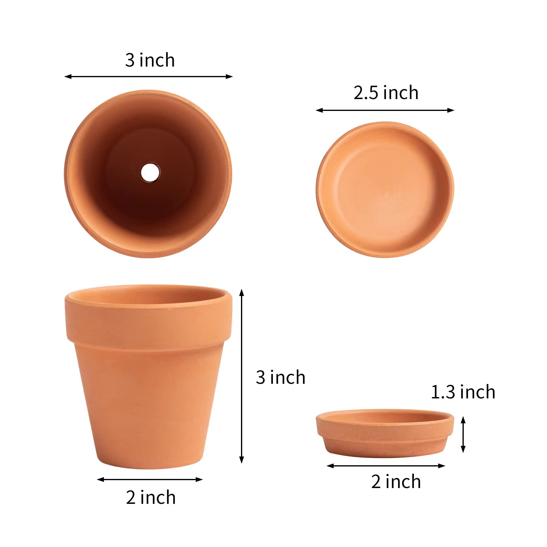 HERDUK 3-inch pot on a sunny windowsill for fresh cuttings and space-saving gardening