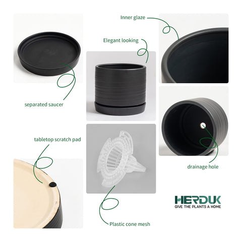 HERDUK 6-inch pot offers a stable base for herbs and succulents.