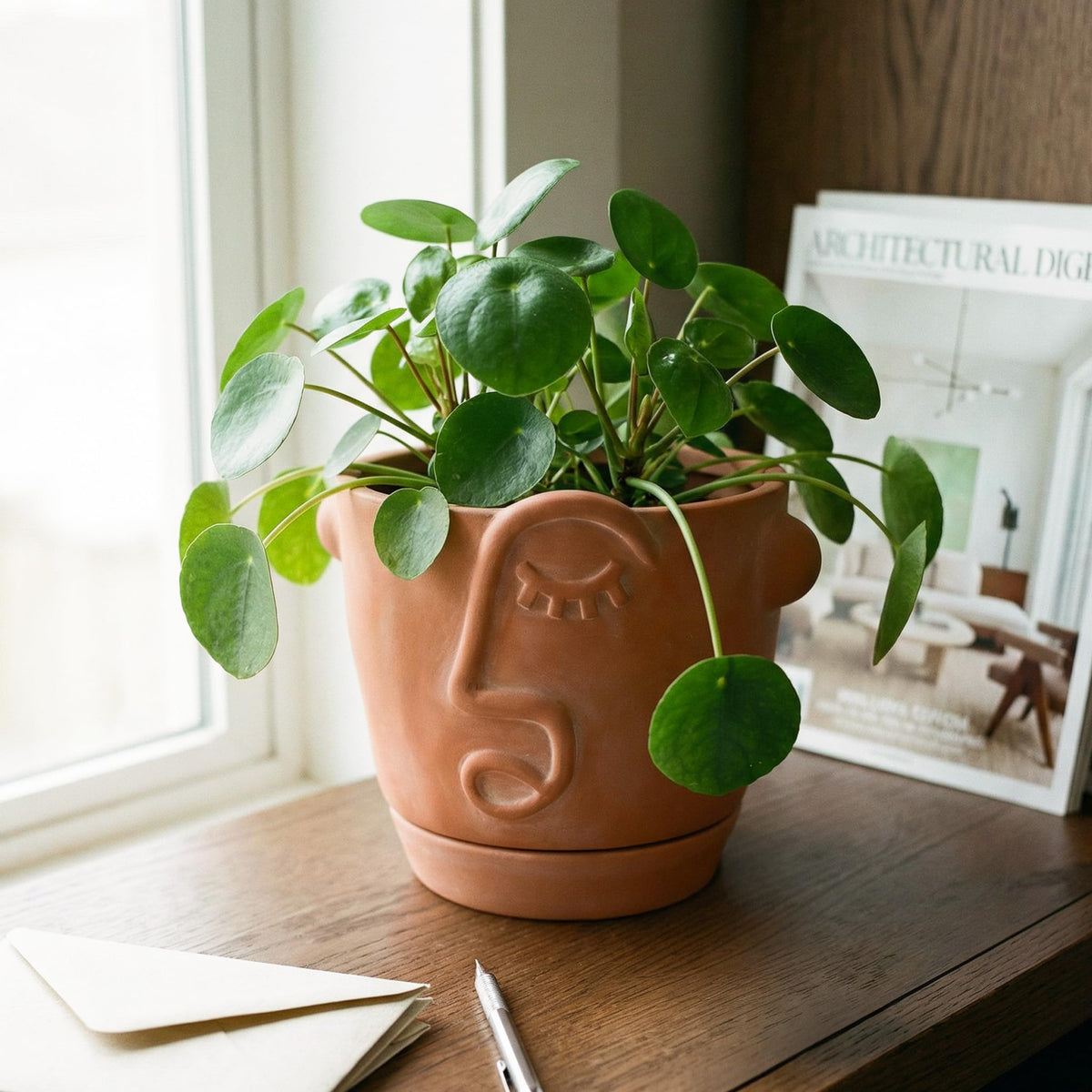 HERDUK 6 inch terracotta abstract face planter promotes healthy roots with breathable clay