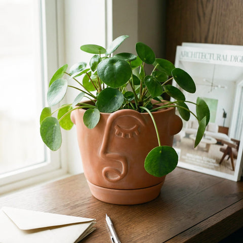 HERDUK 6 inch terracotta abstract face planter promotes healthy roots with breathable clay