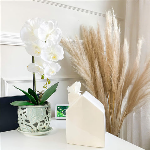 HERDUK 6.5-inch orchid pot offers ample root space for growth