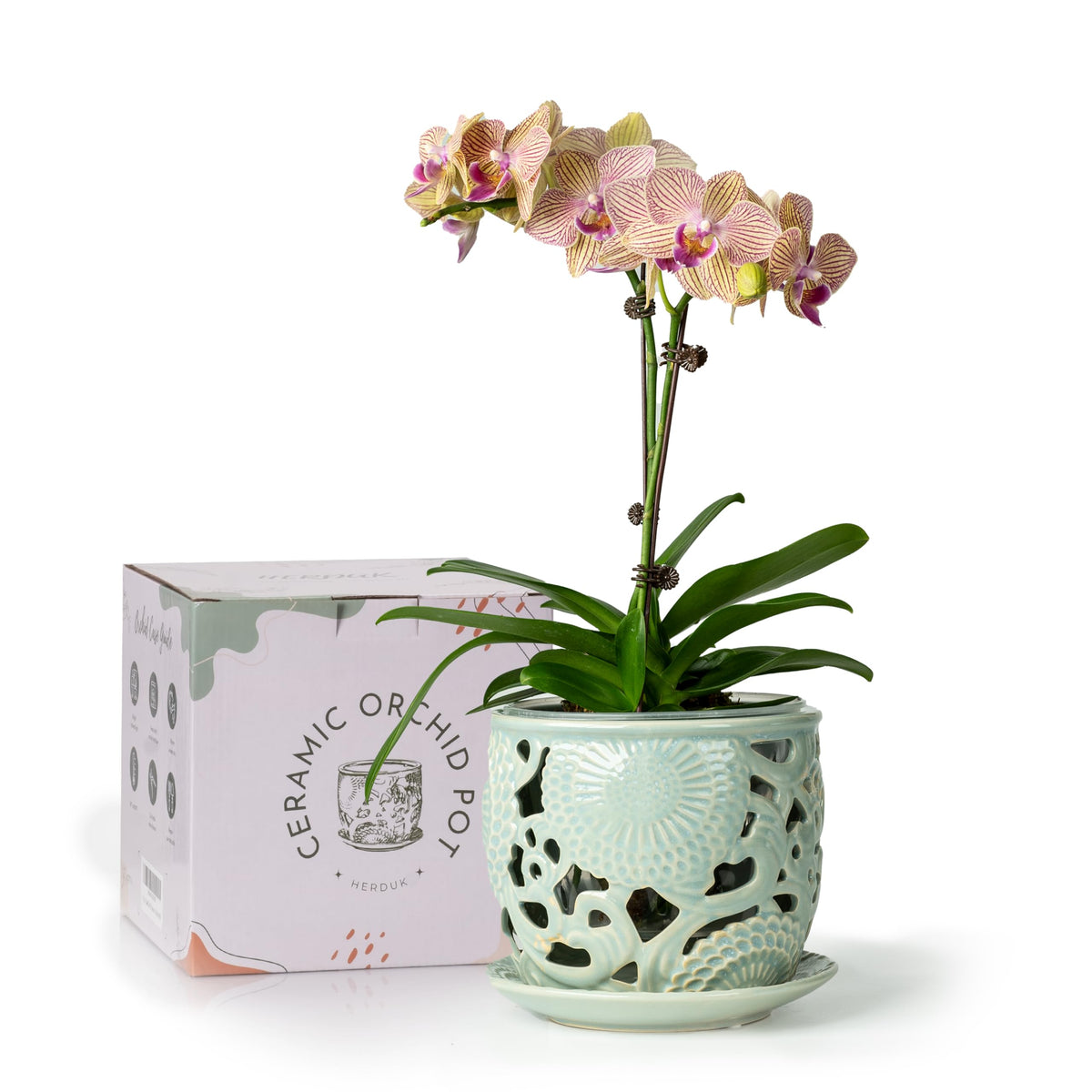 HERDUK ceramic orchid pot with drainage saucer promotes healthy roots and moisture control