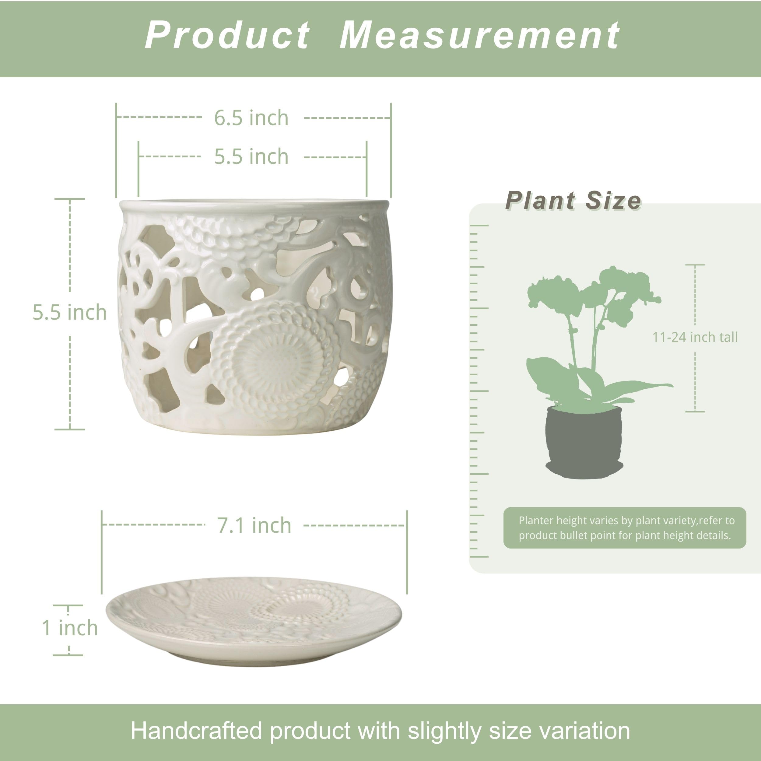 Herduk orchid pot with drainage tray helps keep surfaces clean and moisture balanced.