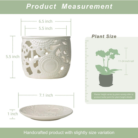 Herduk orchid pot with drainage tray helps keep surfaces clean and moisture balanced.
