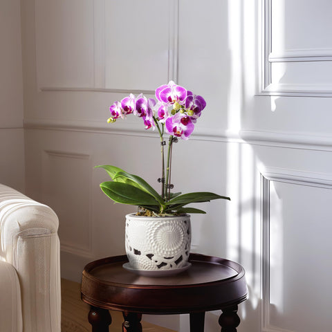 Herduk orchid pot is hand-carved, adding a unique artisanal touch to homes.