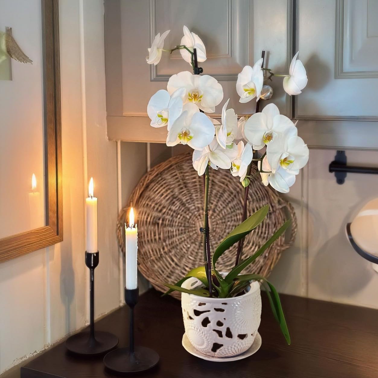 Herduk ceramic orchid pot with plastic insert eases repotting and root visibility.
