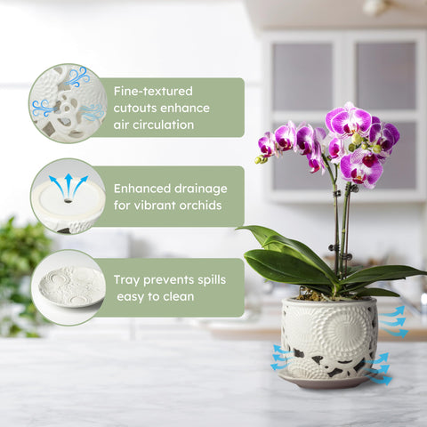 Herduk ceramic orchid pot features sunflower motif for a sunny indoor accent.