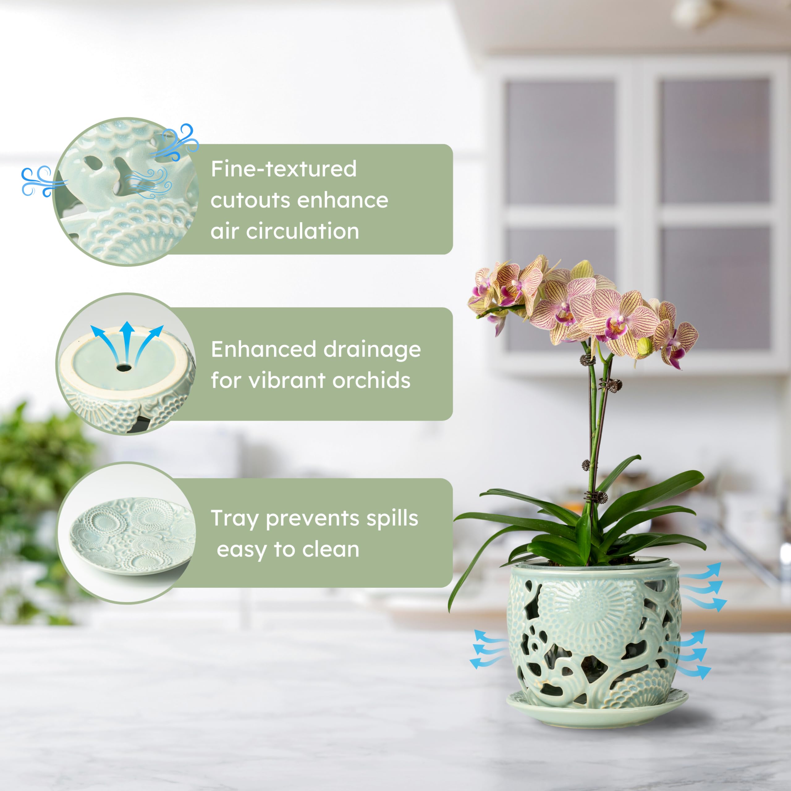 HERDUK sky-blue orchid pot highlights breathable design and airflow around roots