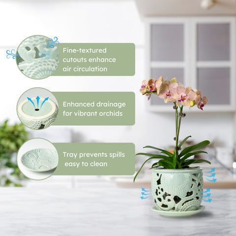 HERDUK sky-blue orchid pot highlights breathable design and airflow around roots