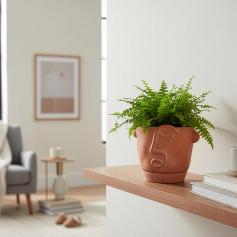 HERDUK gift-ready packaging appeals to plant and art lovers