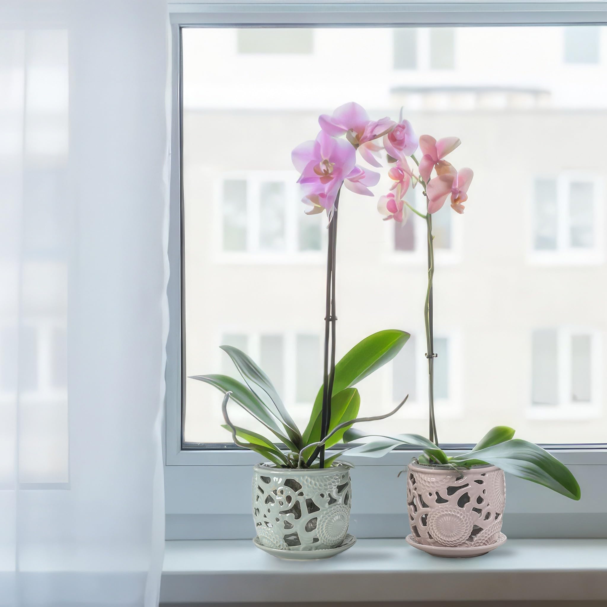 HERDUK makes a thoughtful gift for orchid lovers and plant enthusiasts