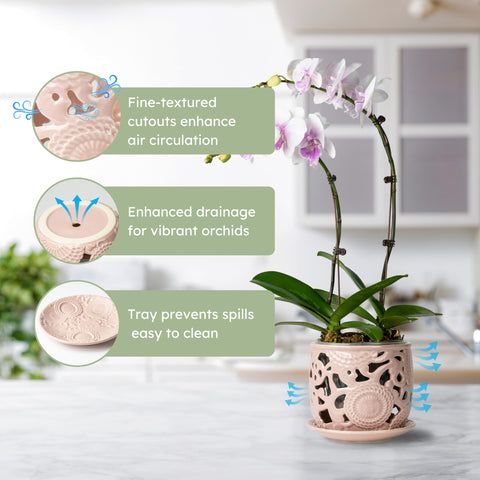 HERDUK hand carved orchid pot showcases craftsmanship