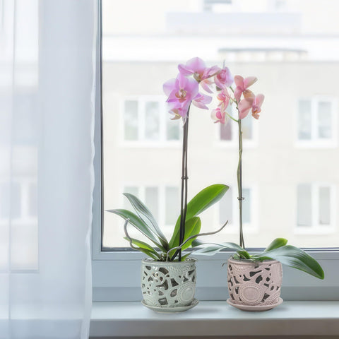 HERDUK orchid pot 5.8-inch height fits compact spaces