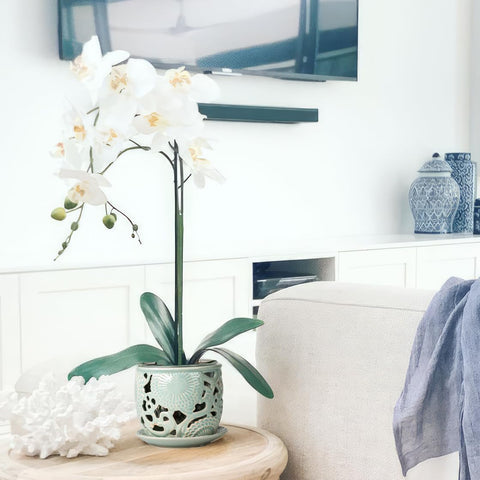 HERDUK orchid pot serves as a chic centerpiece for living spaces
