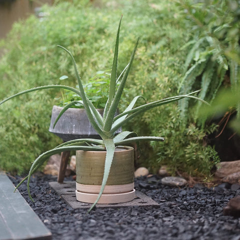 HERDUK planter suitable for indoor and outdoor spaces.