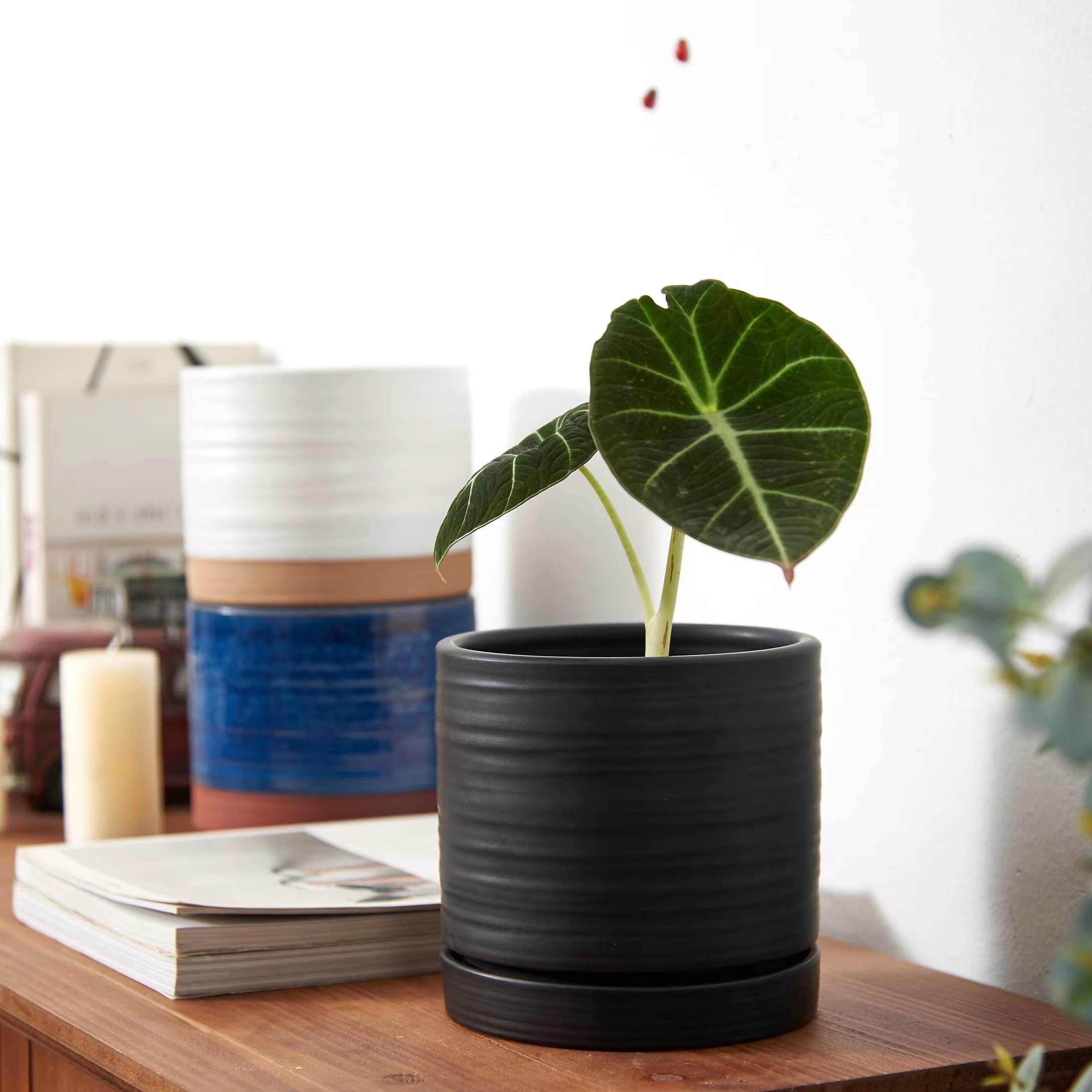 HERDUK round matte glaze planter provides chic home decor.