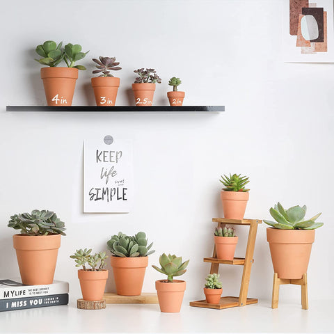 HERDUK 3 inch pots with saucers help prevent overwatering in homes