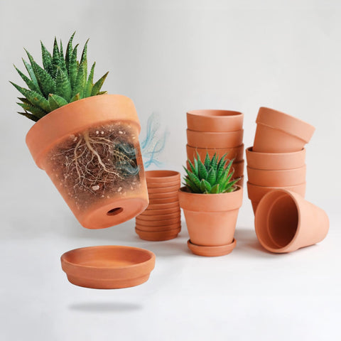 HERDUK terracotta 4-inch starter pot with saucer promotes healthy root airflow.