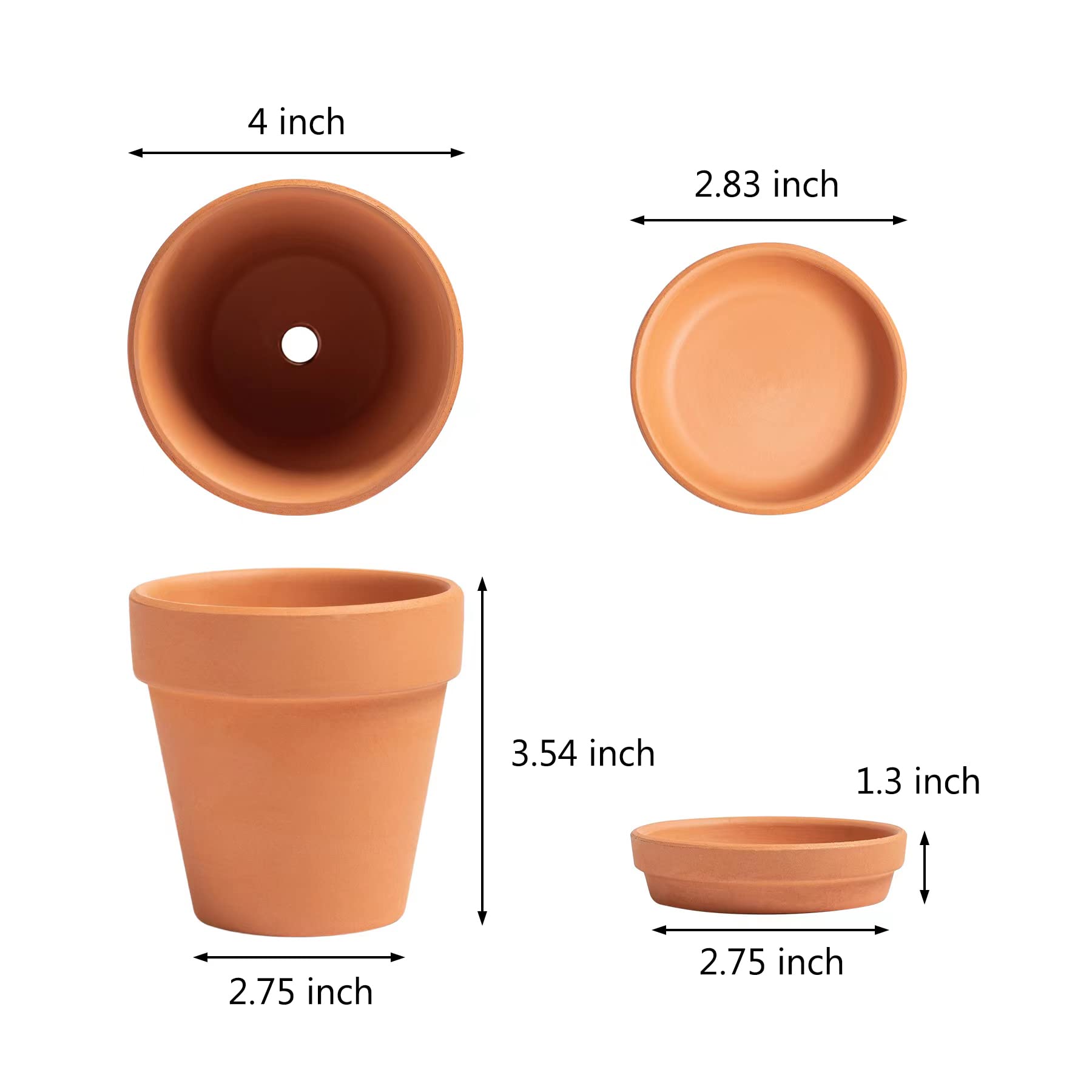 Closeup shows drainage hole and saucer reducing overwatering risk for young plants.